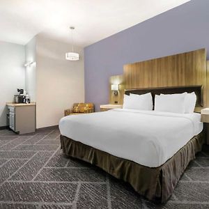 King Suite Mobility accessible